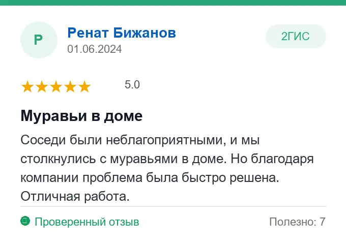 Отзыв Ренат Бижанов: Муравьи в доме