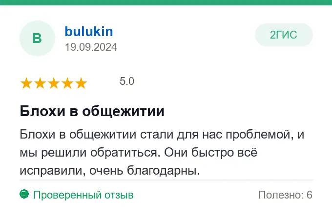 Отзыв bulukin: Блохи в общежитии