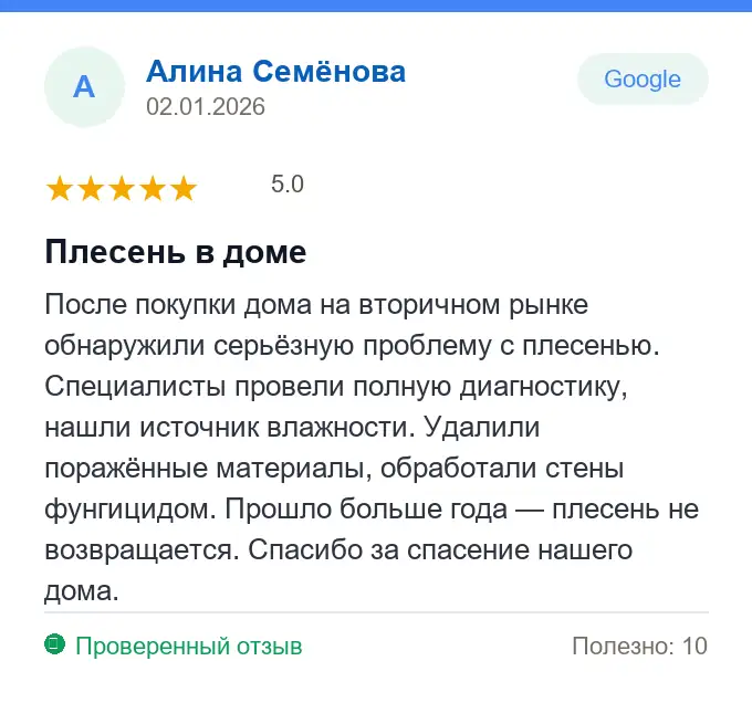 Отзыв Алина Семёнова: Плесень в доме