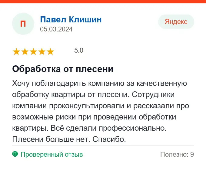 Отзыв Павел Клишин: Обработка от плесени